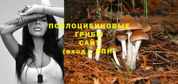 ECSTASY Вязьма